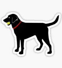 Pegatina Labrador Retriever Fetch, Black Lab Play Ball
