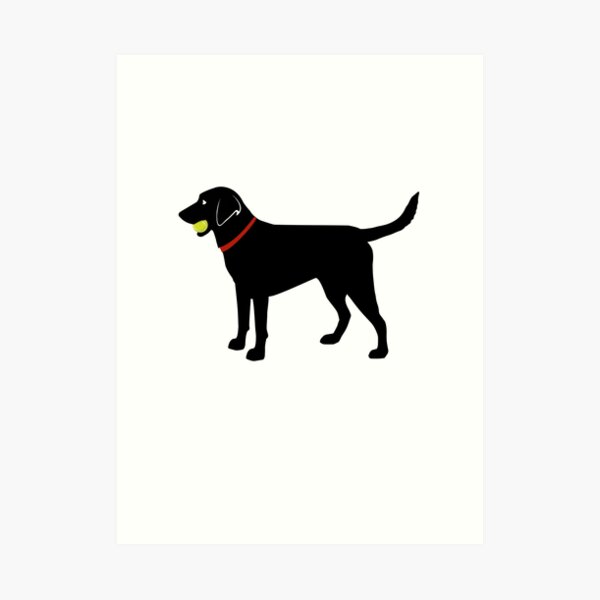 Labrador Retriever Fetch, Black Lab Play Ball Art Print
