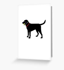 Labrador Retriever Fetch, Black Lab Play Ball Greeting Card
