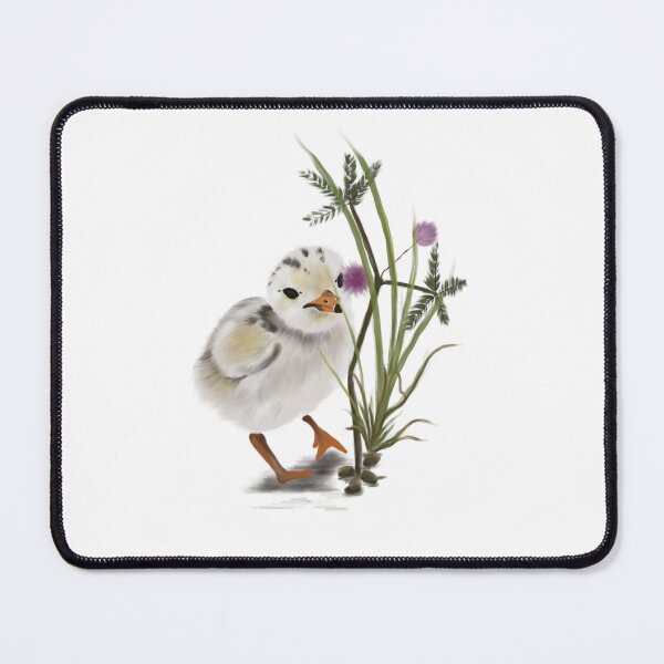 Item preview, Little tern chick designed and sold by WonderWildSG.