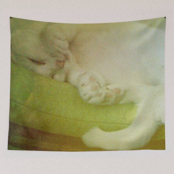 Item preview, Sleeping White Cat designed and sold by Nalinne Jones.