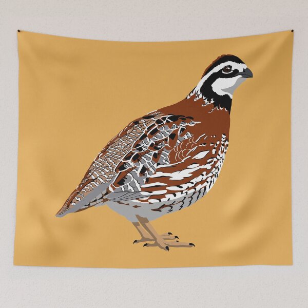 Item preview, Northern Bobwhite designed and sold by BennuBirdy.