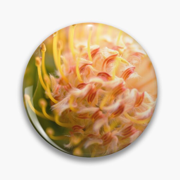 Item preview, Golden - Nodding Pincushion - South African Native  designed and sold by imaginethis.