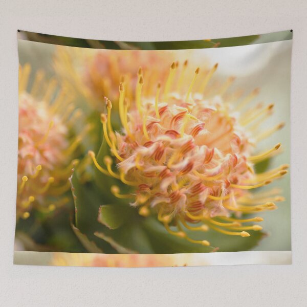 Item preview, Golden - Nodding Pincushion - South African Native  designed and sold by imaginethis.