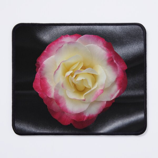 Item preview, Magenta Rose With White Center On Black Leather designed and sold by PPPimp.