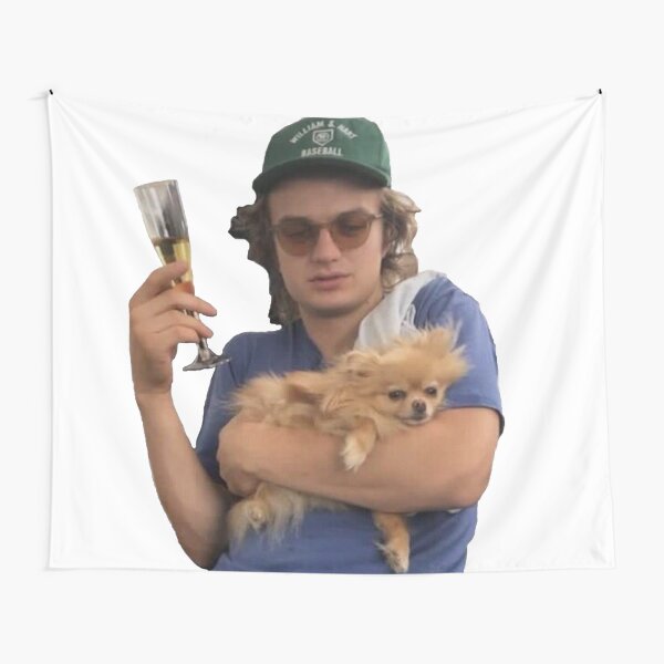 Joe Keery Tapestry