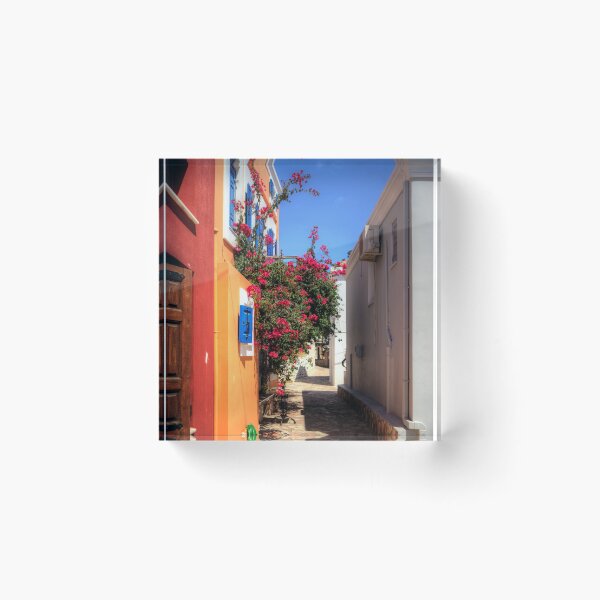Artikelvorschau, Bougainvillea-Busch entworfen und verkauft von tomg.