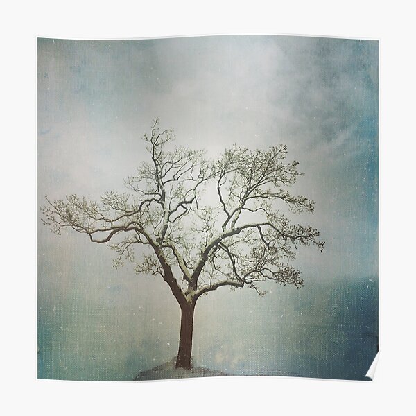 Glistening Branches Poster