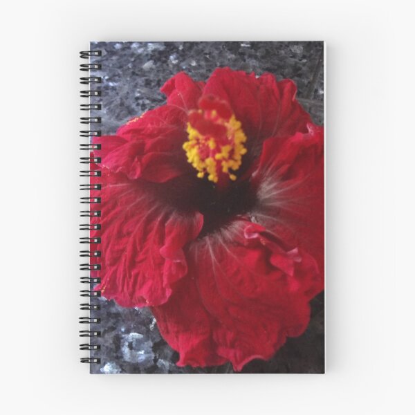Item preview, Red designed and sold by jennyleeandjim.