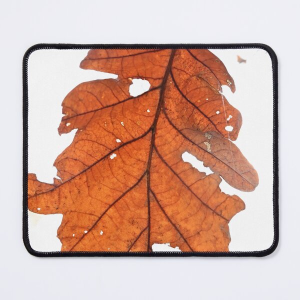 Item preview, Hanging autumn leaf designed and sold by Milan Latta.