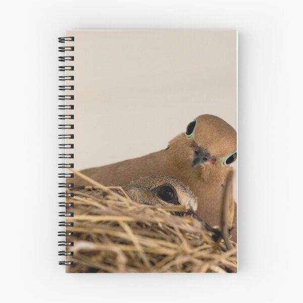 Item preview, Dove and Hatchling in Nest designed and sold by Dylan Lawrence.