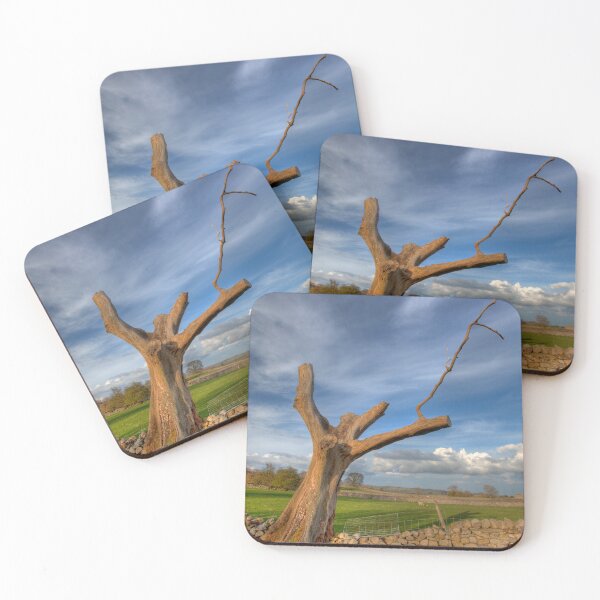 Item preview, Lone Tree designed and sold by Paul Thompson Photography.