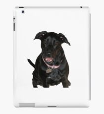Guiness iPad Case/Skin
