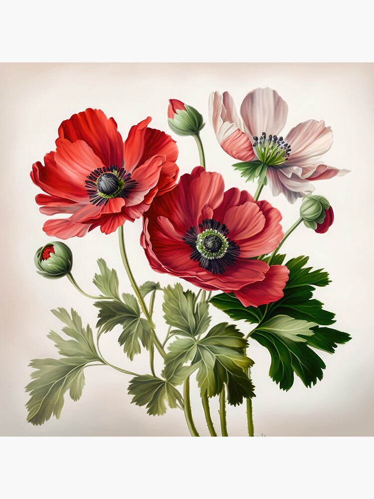 Red Anemones Fine Art - Print on canvas - Rolled up in a tube - on sale Free shipping