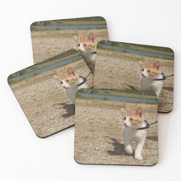 Item preview, Fred the Cat on leash designed and sold by ivmedia.
