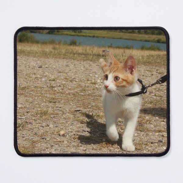 Item preview, Fred the Cat on leash designed and sold by ivmedia.
