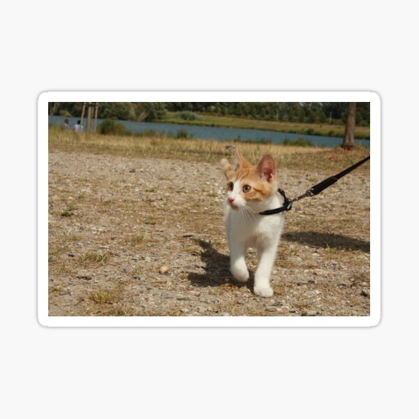 Item preview, Fred the Cat on leash designed and sold by ivmedia.