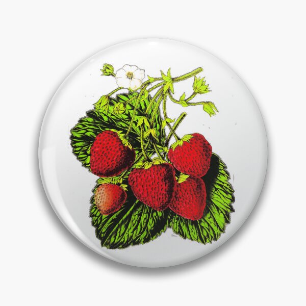 Item preview, Botanical Strawberry Illustration Print on White designed and sold by Marymarice.