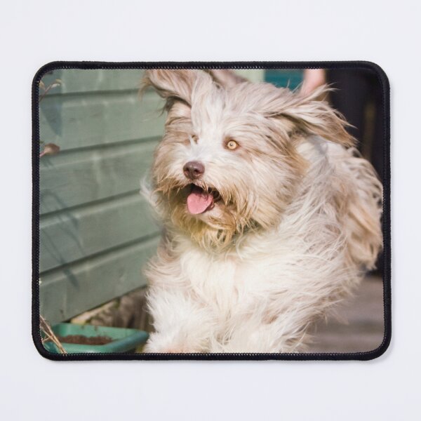 Item preview, Skye In Flight designed and sold by Paul Thompson Photography.