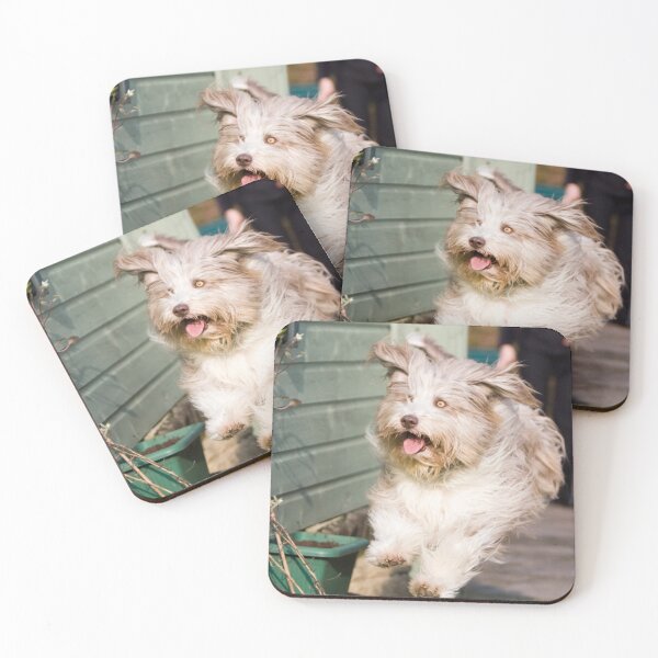 Item preview, Skye In Flight designed and sold by Paul Thompson Photography.