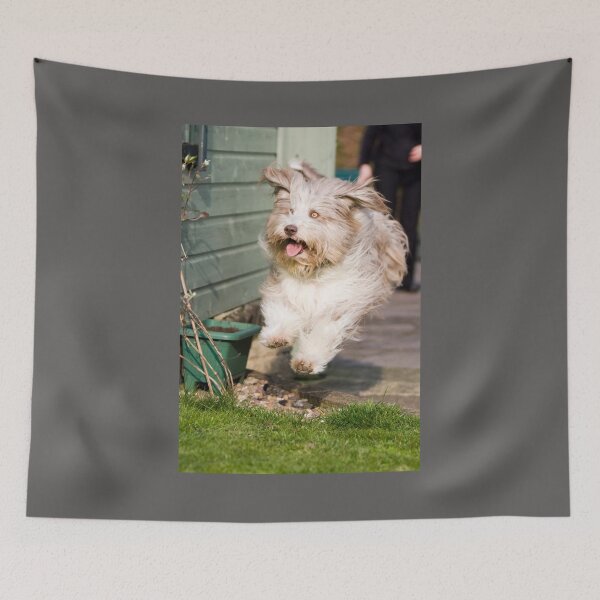 Item preview, Skye In Flight designed and sold by Paul Thompson Photography.