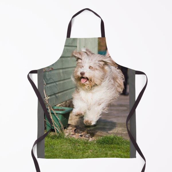 Item preview, Skye In Flight designed and sold by Paul Thompson Photography.