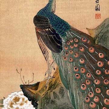 Artwork thumbnail, 19th C. Japanese Peacock by historicimage