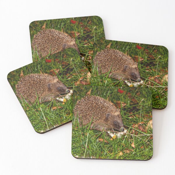 Item preview, Prickles the Hedgehog having supper designed and sold by Dalyndigital Photography.