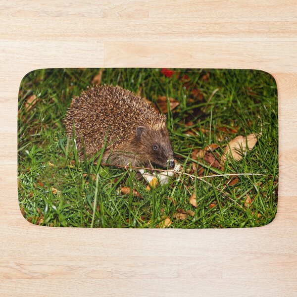 Item preview, Prickles the Hedgehog having supper designed and sold by Dalyndigital Photography.