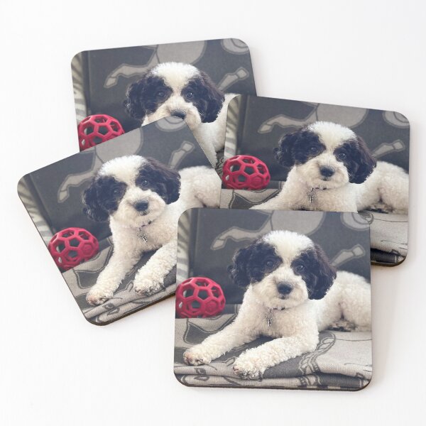 Item preview, Lucy, November 2022 designed and sold by Christine  Wilson Photos.