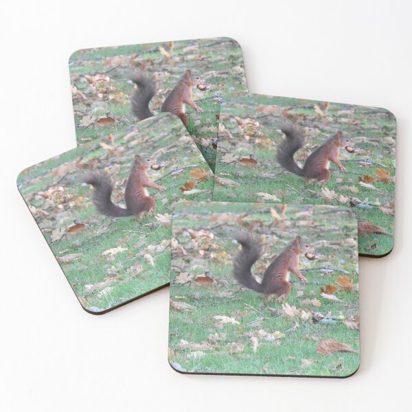 Item preview, Red Squirrel carrying chestnut in mouth designed and sold by TwistedClassics.