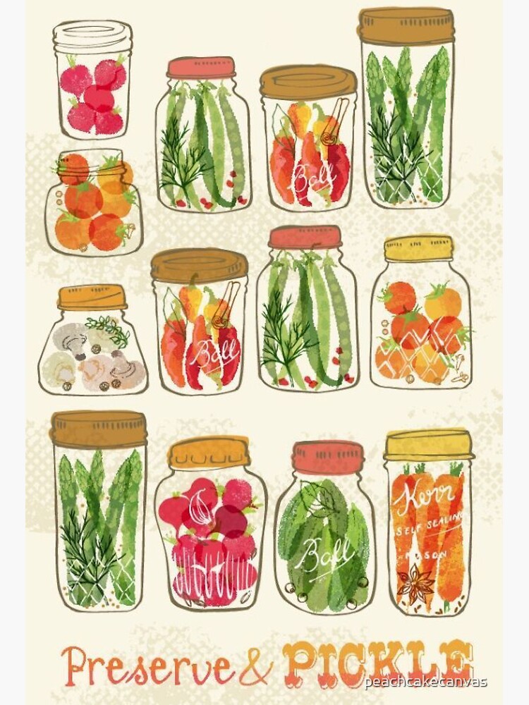 THE ART OF FOOD PRESERVATION