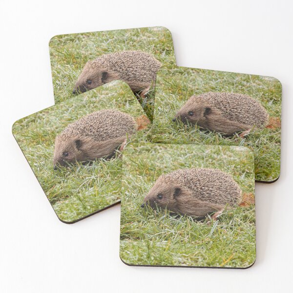 Item preview, Hedgehog in the frosty grass designed and sold by Dalyndigital Photography.