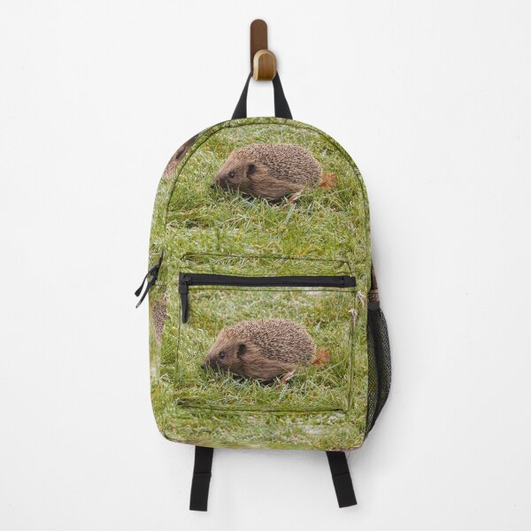 Item preview, Hedgehog in the frosty grass designed and sold by Dalyndigital Photography.