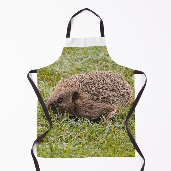 Item preview, Hedgehog in the frosty grass designed and sold by Dalyndigital Photography.