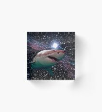 requin de l'espace Bloc acrylique