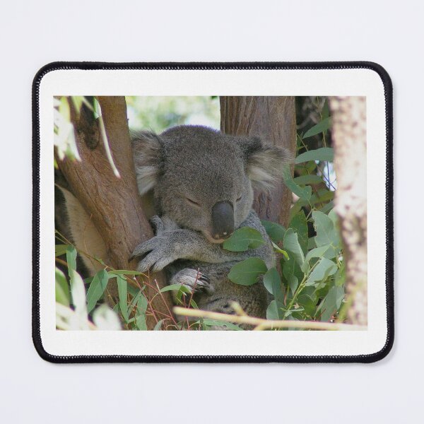 Item preview, Napping Koala Bear designed and sold by dangerouslyclos.