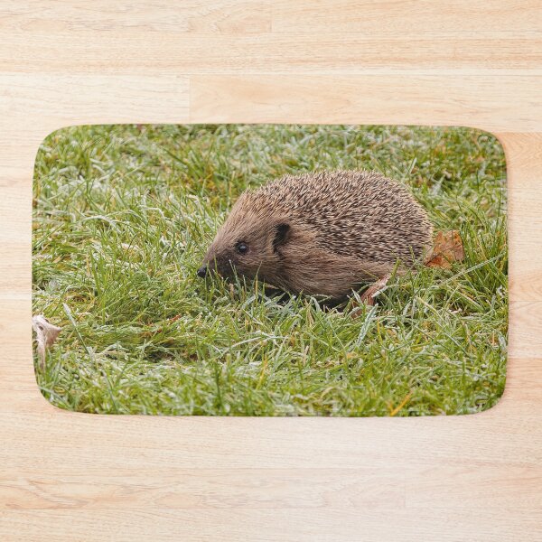 Item preview, Hedgehog in the frosty grass designed and sold by Dalyndigital Photography.
