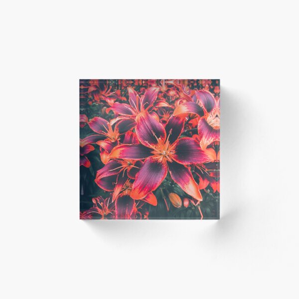 Item preview, Purple and Orange Lilies | Flowers Nature Photography designed and sold by Jacqueline Elise.