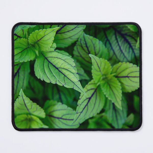 Item preview, Green Peace designed and sold by Daniel's Destinations.