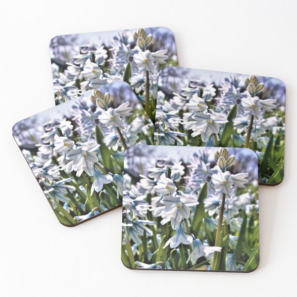 Item preview, Escila rayada designed and sold by Scott and Mary Schneider art_photography.
