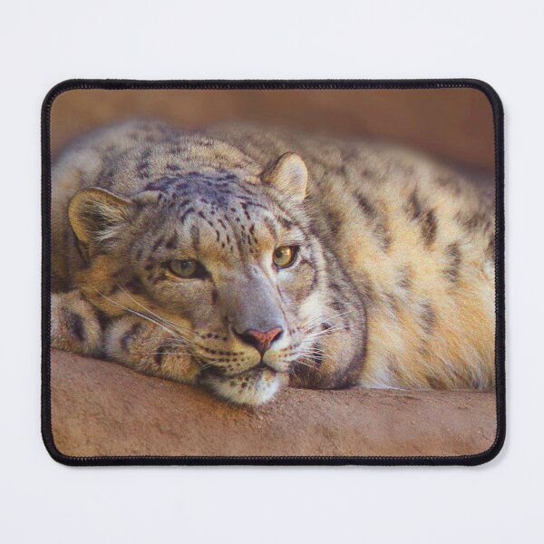 Item preview, Snow Leopard looking straight into the camera designed and sold by dangerouslyclos.
