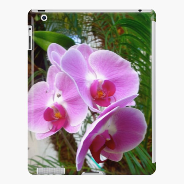 Purple Orchid Accessoires Sjaals & omslagdoeken Sjaals Felting Supplies or Scarf Low Shipping Costs 