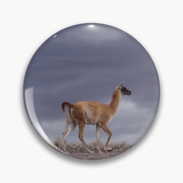 Item preview, Atacama Alpaca designed and sold by Stratus13.
