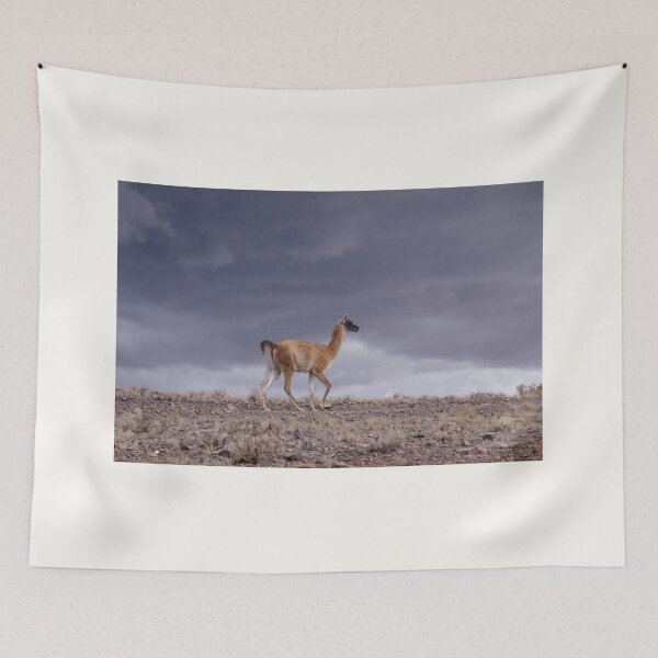 Item preview, Atacama Alpaca designed and sold by Stratus13.
