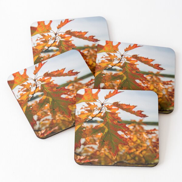 Item preview, Autumn in the Park designed and sold by Daniel's Destinations.