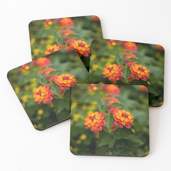 Item preview, Lantana designed and sold by Daniel's Destinations.