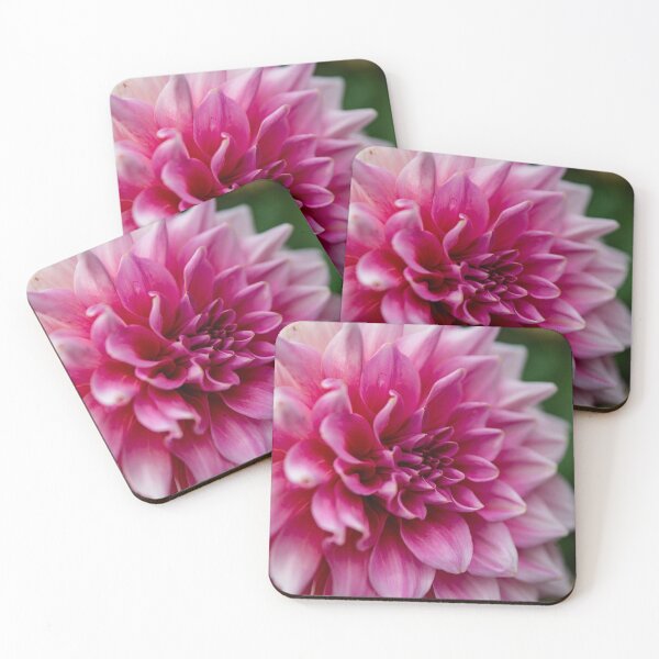 Item preview, Dahlia designed and sold by Daniel's Destinations.