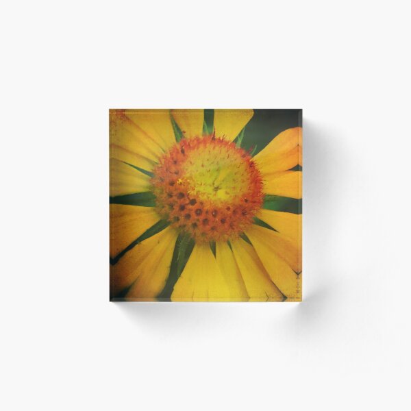 Orange and Yellow Acrylic Block