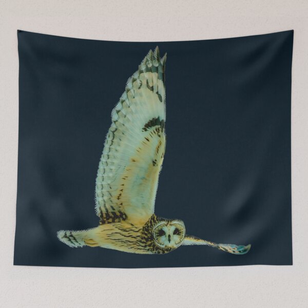 Item preview, owl flying  designed and sold by JD369.